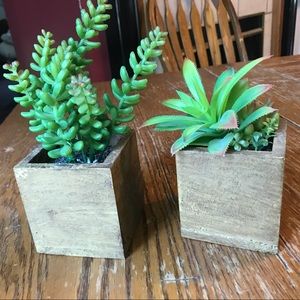 DECORATIVE FAUX SUCCULENTS
